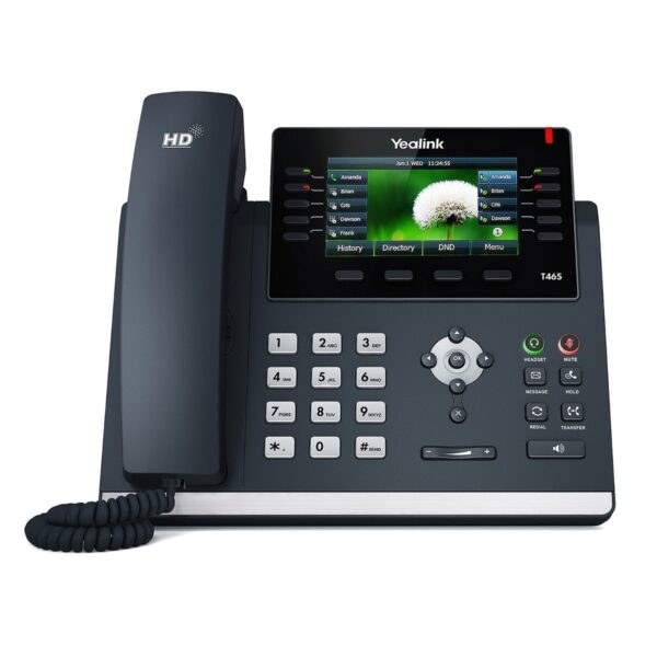 T46S-Skype - VoIP Market - By HASSGROUPE