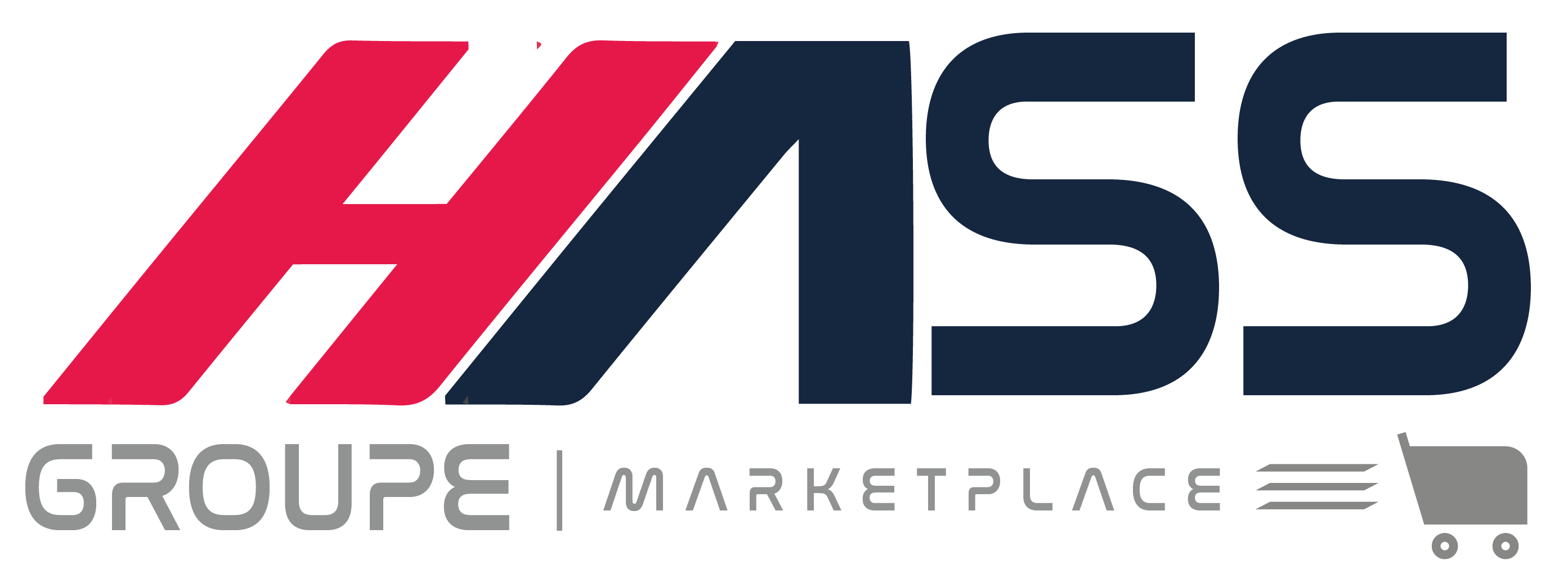 VoIP Market - By HASSGROUPE