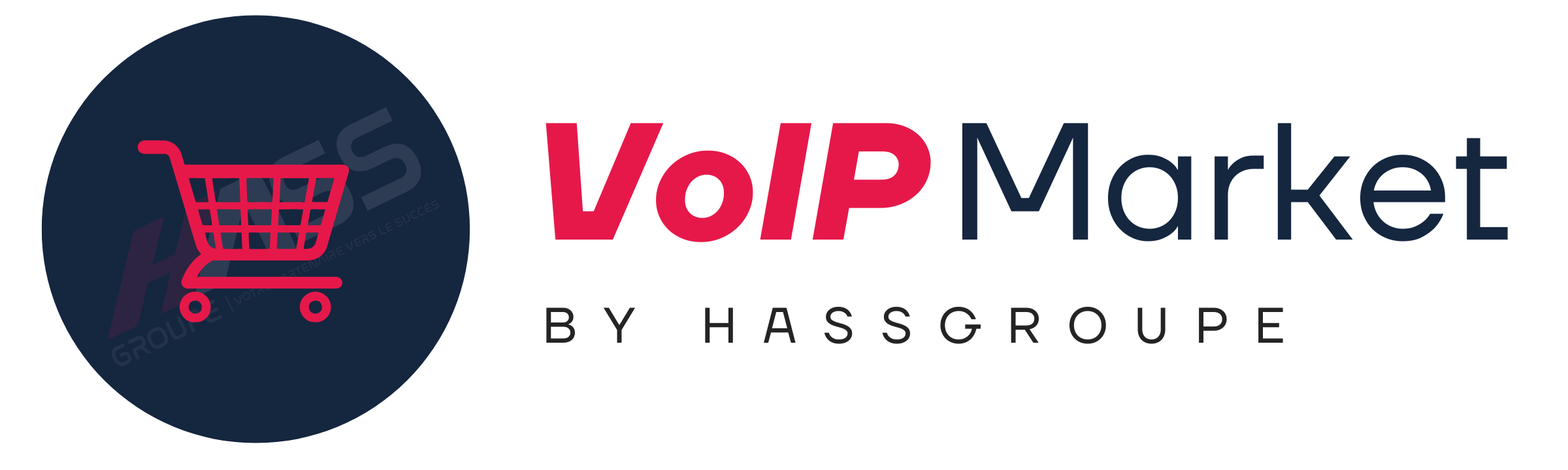 VoIP Market - By HASSGROUPE